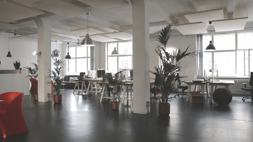 5 office design rules for successful startups
