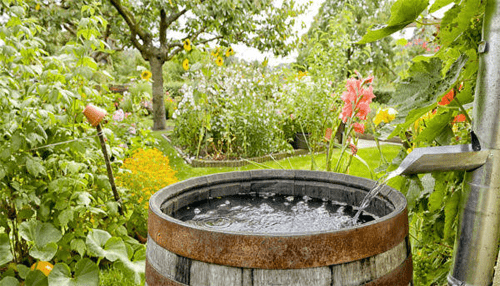 Collect and save rainwater-harvesting