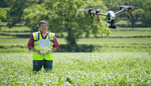 Agricultural surveys