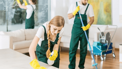 House cleaner small business ideas