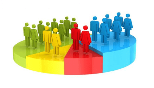 Demographic data business planning