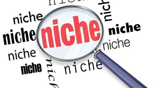 Searching and selecting the right niche