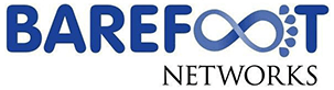 Barefoot networks it infrastructure tech companie