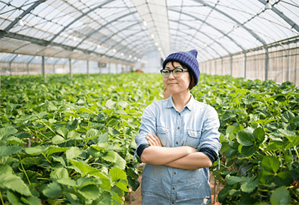 How agriculture promotes food in sustainability singapore