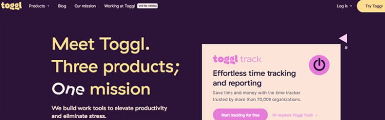 Toggl online business