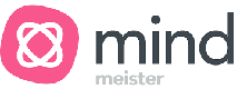 Mindmeister tool for startups