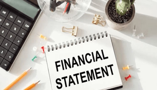Company's Financial Statement Evaluation Financial Analyst
