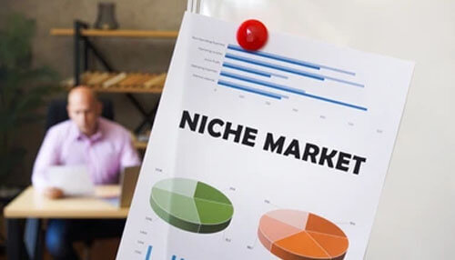 Find a niche market start a business