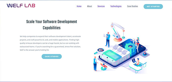 Welf Lab  Healthcare Software Development Companies