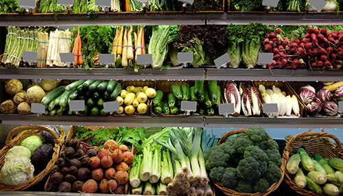 Organic grocery wholesaler food business ideas