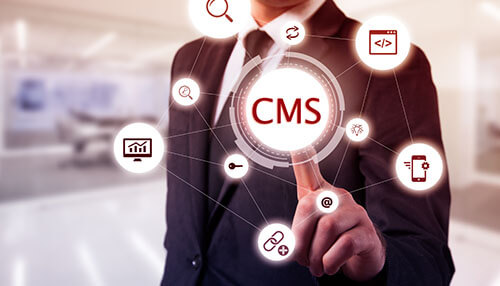 Cms website development web development