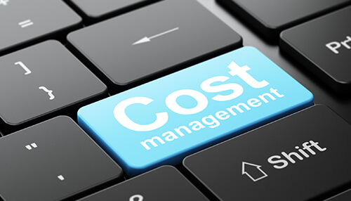 Cost management business intelligence software