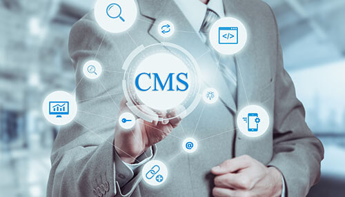 Content management system website accessible