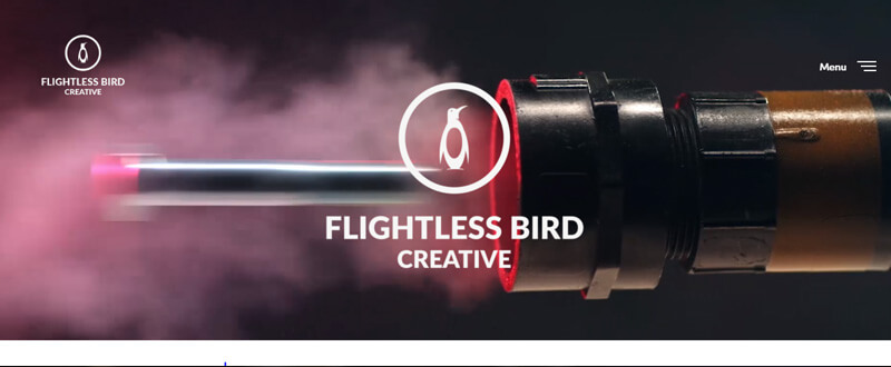 Flightless bird creative video production company