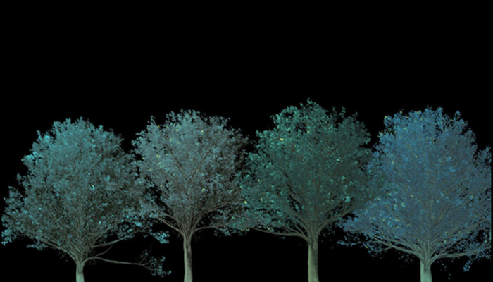 Bioluminescent trees technological inventions
