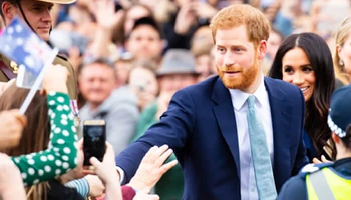 What is the memoir of the prince harry royal family