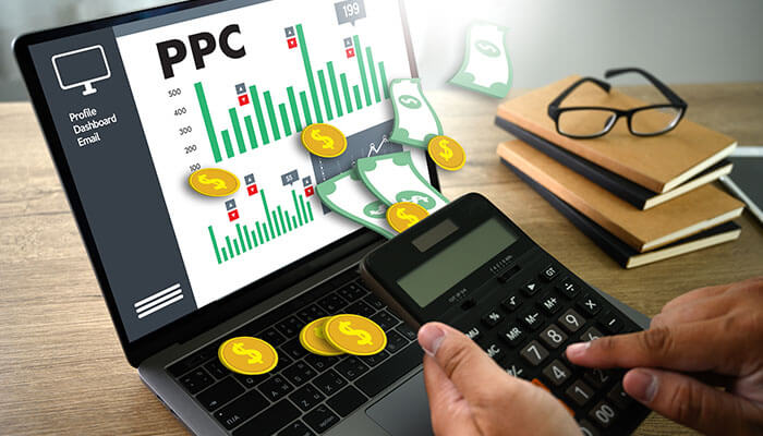 Try some ppc advertising ecommerce business