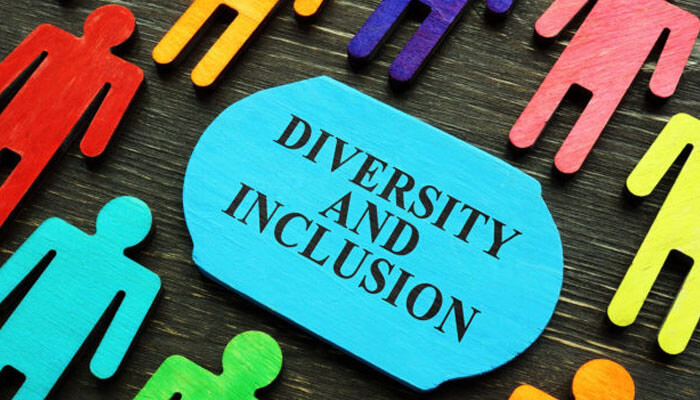 Inclusivity and diversity in e-commerce newcomer temu