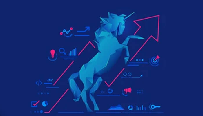 Develop unicorn status worthy product cowboy ventures