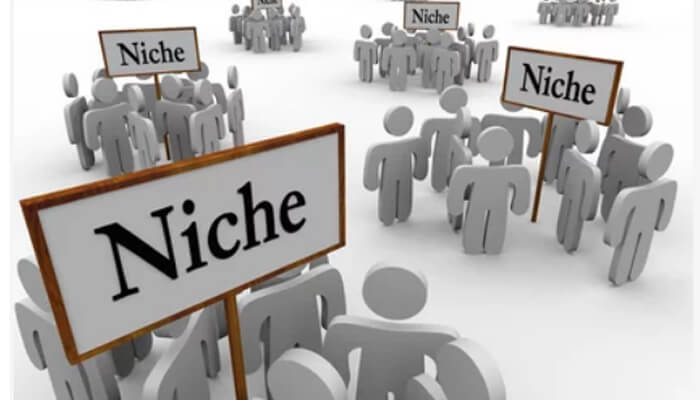 Develop your own niche competition