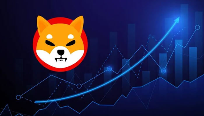 Shib has been gaining popularity cryptocurrency
