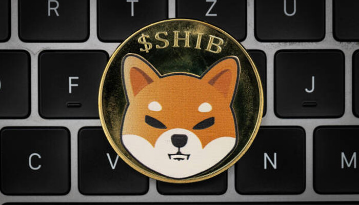 Understanding shib token dogecoin