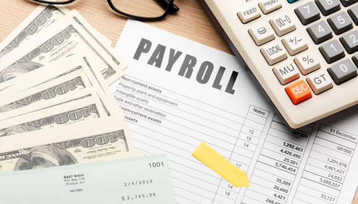 Use a reliable payroll software or generator paystubs