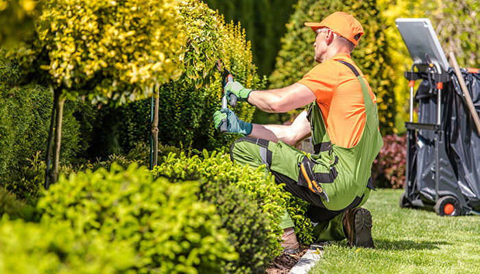 Landscaping business hiring and managing employees