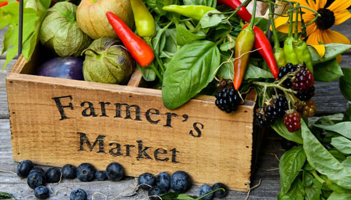 Organic farming and farmers' Market Stall Business Ideas