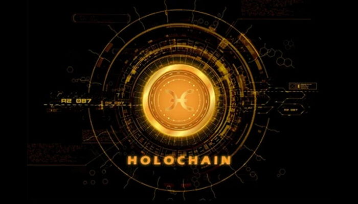 Scalability and efficiency holochain's agent-centric