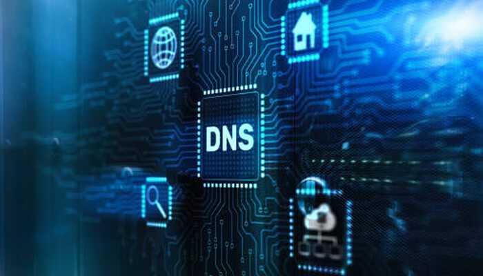 Dns security in zero trust networking