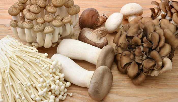 How Online Platforms Are Uniting Mushroom Lovers Globally
