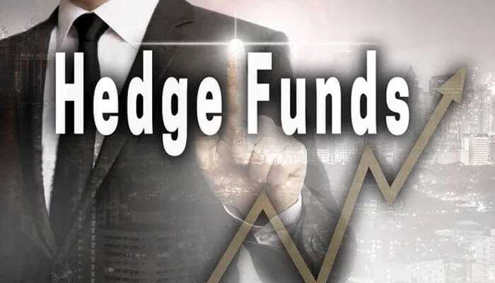 Businessman pointing to the words hedge funds in armistice capital with an upward arrow and gray background.