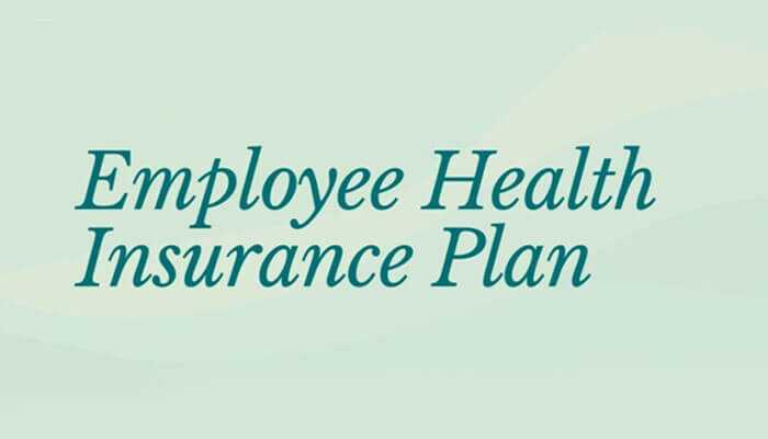 Text reading employee health insurance plan on a soft green background, representing a focus on health benefits and insurance options for employees