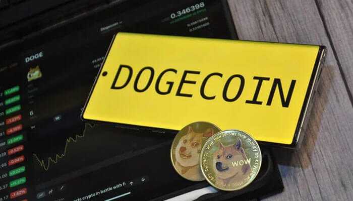 Dogecoin in the investment landscape