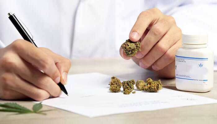 A close-up of a person holding a hemp flower while writing notes on paper, with additional hemp buds and a medical container placed on a table, symbolizing medicinal cannabis or thca flowers usage