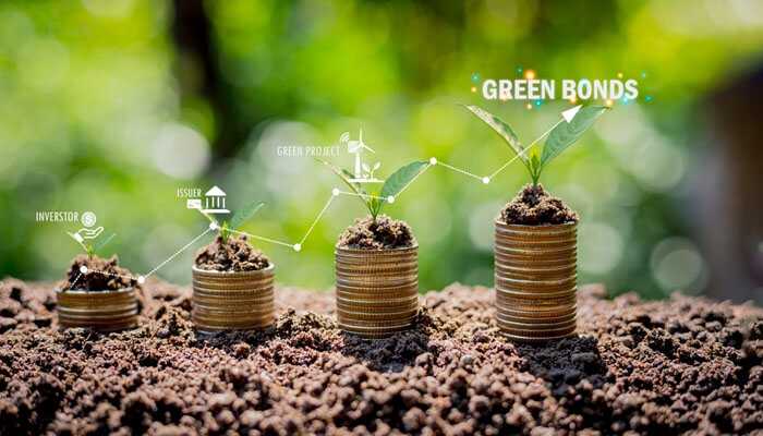 Stacks of coins with growing plants symbolizing sustainability and investment, labeled with green bonds, investor, issuer, and green project, in a lush, green outdoor setting