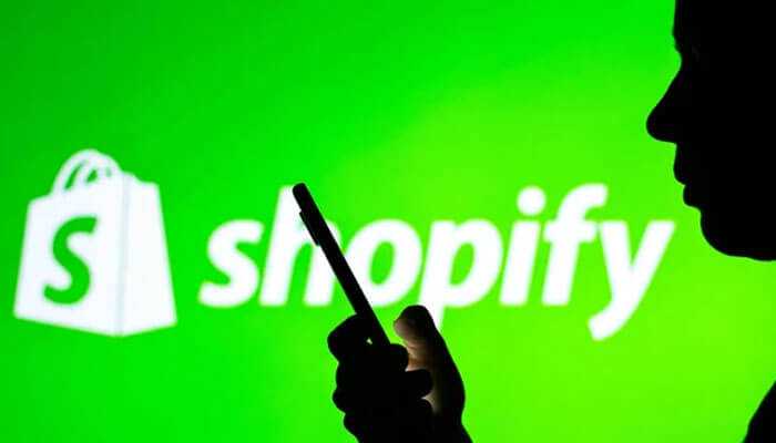 A silhouette of a person holding a phone against the green background with the shopify dropshipping store logo showing.