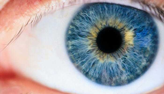 Closeup of a human blue iris with delicate patterns showing lasik in nyc.