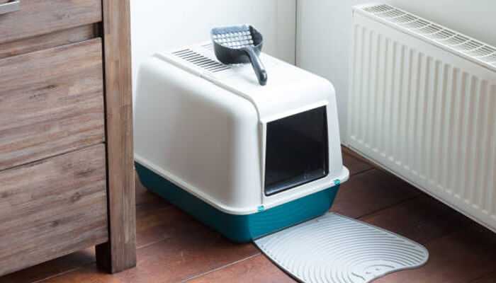 Self-cleaning cat litter box with a scoop on top, placed on a floor near a wooden dresser and a radiator, showing a clean and modern pet hygiene setup.