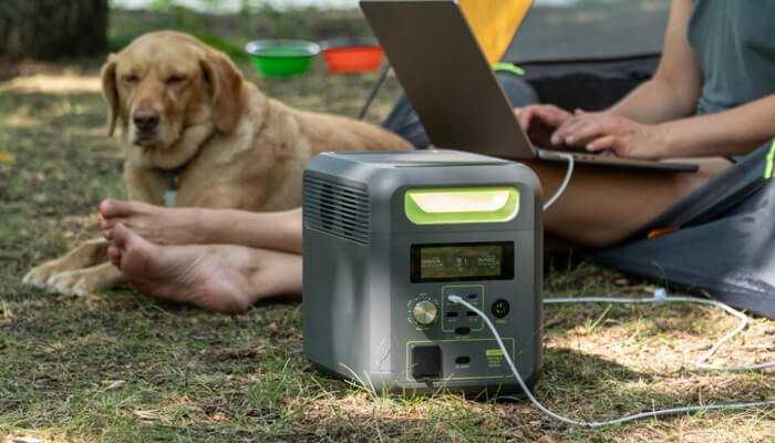 A person using a laptop outdoors powered by a portable power station, with a relaxed dog nearby, creating a perfect remote work and camping setup.