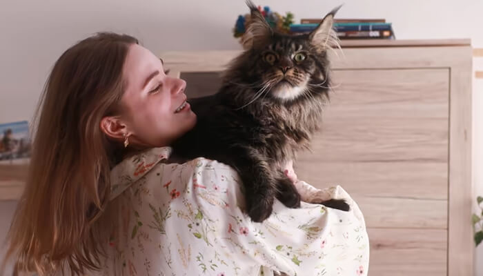 Smiling woman holding a large maine coon cat, highlighting the loving bond and quality care provided by a dedicated maine coon breeder.