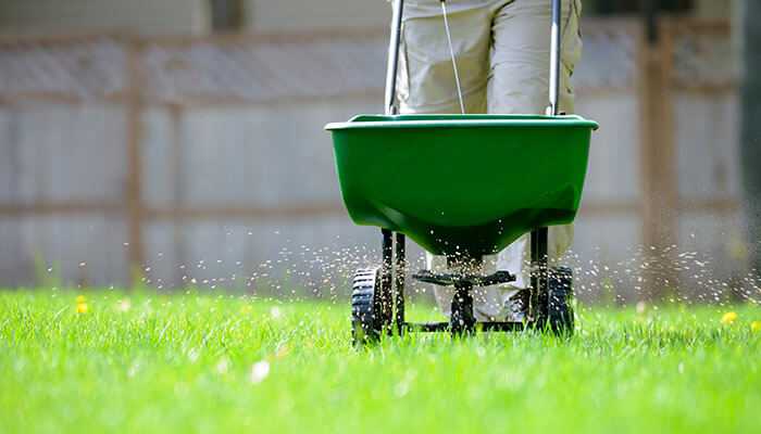 Professional lawn care in fort worth with a worker spreading fertilizer using a spreader on the lawn.